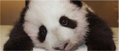 k8����(�й�)����Ӯ�ҡ�һ������