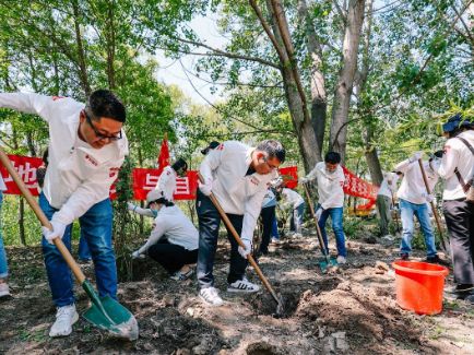 k8����(�й�)����Ӯ�ҡ�һ������