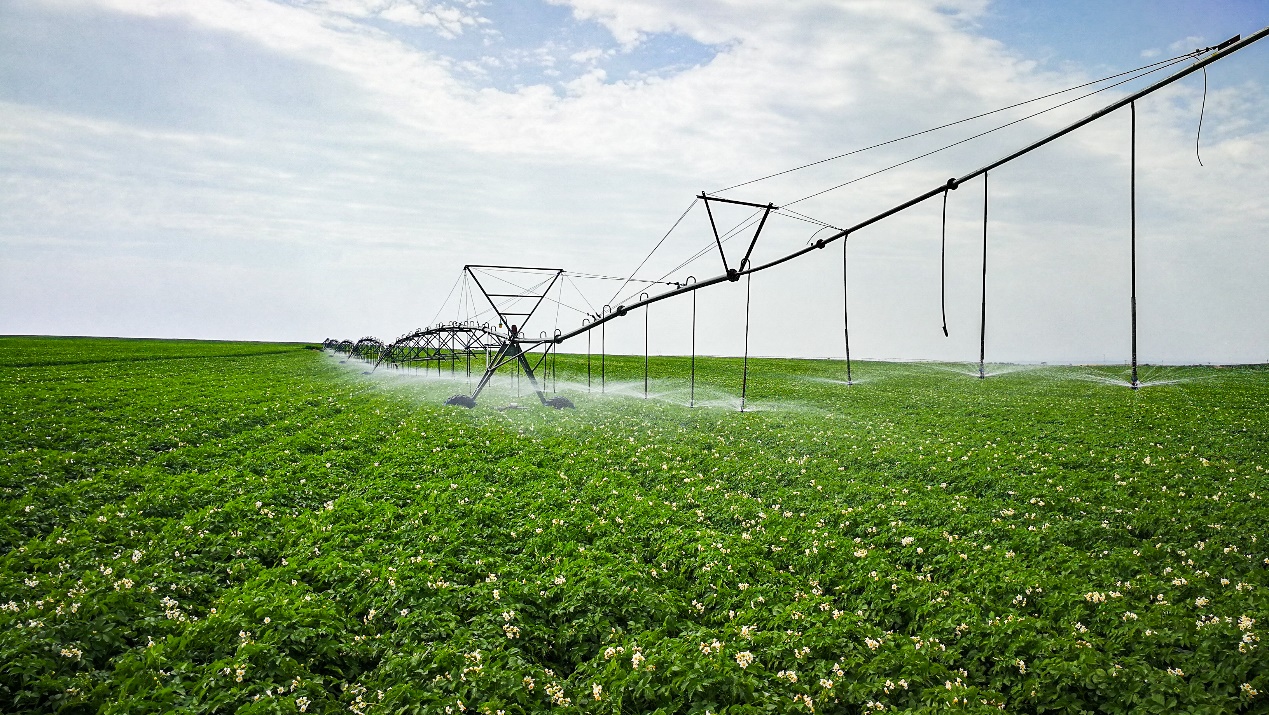 k8����(�й�)����Ӯ�ҡ�һ������